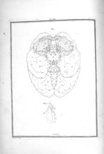 Base du cerveau et les nerfs qui en sortent - Traité d'anatomie et de physiologie avec des planches  [...]