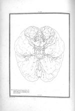 Arteres de la base du cerveau - Traité d'anatomie et de physiologie avec des planches coloriées repr [...]