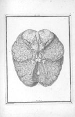 Arteres de la base du cerveau - Traité d'anatomie et de physiologie avec des planches coloriées repr [...]