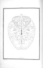 Cerveau renversé de maniere que l'on voie la base en-dessus - Traité d'anatomie et de physiologie av [...]