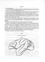 Fig. 2. [Plis de passage du cerveau des primates] - Mémoire sur les plis cérébraux de l'homme et des [...]