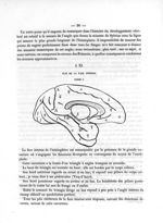Fig. 3. [Plis de la face interne du cerveau des primates] - Mémoire sur les plis cérébraux de l'homm [...]