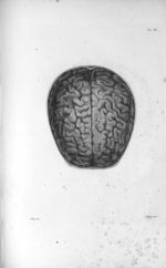 Pl. IX. Crâne scié horizontalement au-dessus des sourcils (cerveau d'homme) - Anatomie et physiologi [...]