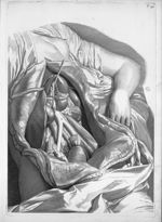 Apertum abdomen  - Anatomia humani corporis, centum et quinque tabulis, per artificiosiss. G. de Lai [...]