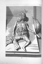 Foeminei generis Embryi, septem circiter mensium, apertum abdomen - Anatomia humani corporis, centum [...]