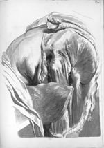 Musculi femori - Anatomia humani corporis, centum et quinque tabulis, per artificiosiss. G. de Laire [...]