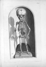 Novem circiter mensium foetus ossa - Anatomia humani corporis, centum et quinque tabulis, per artifi [...]