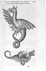 Dragons qui tuent les elephans - Les Oeuvres d'Ambroise Paré,... divisées en vingt huict livres avec [...]