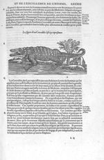 Crocodile - Les Oeuvres d'Ambroise Paré,... divisées en vingt huict livres avec les figures et portr [...]