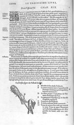 Follicule du fiel - Les Oeuvres d'Ambroise Paré,... divisées en vingt huict livres avec les figures  [...]