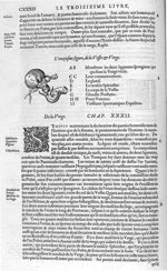 Vessie & verge - Les Oeuvres d'Ambroise Paré,... divisées en vingt huict livres avec les figures et  [...]