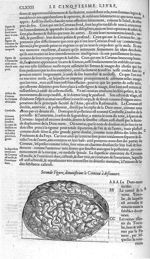 Cerveau - Les Oeuvres d'Ambroise Paré,... divisées en vingt huict livres avec les figures et portrai [...]