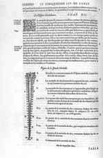Spinale medulle - Les Oeuvres d'Ambroise Paré,... divisées en vingt huict livres avec les figures et [...]