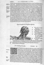 Muscles de la machoire inférieure - Les Oeuvres d'Ambroise Paré,... divisées en vingt huict livres a [...]