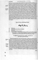 Incus, malleolus & stapés - Les Oeuvres d'Ambroise Paré,... divisées en vingt huict livres avec les  [...]