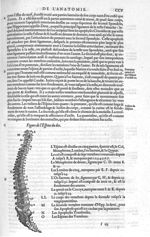 Espine du dos - Les Oeuvres d'Ambroise Paré,... divisées en vingt huict livres avec les figures et p [...]