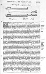 Cannule fenestree avec son cautere actuel - Les Oeuvres d'Ambroise Paré,... divisées en vingt huict  [...]