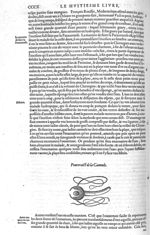 Cannule - Les Oeuvres d'Ambroise Paré,... divisées en vingt huict livres avec les figures et portrai [...]