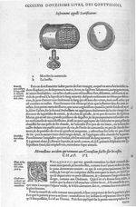 Scarificateur - Les Oeuvres d'Ambroise Paré,... divisées en vingt huict livres avec les figures et p [...]