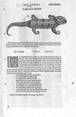 Salamandre - Les Oeuvres d'Ambroise Paré,... divisées en vingt huict livres avec les figures et port [...]
