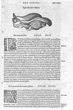 Lièvre marin - Les Oeuvres d'Ambroise Paré,... divisées en vingt huict livres avec les figures et po [...]