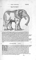 Elephant - Les Oeuvres d'Ambroise Paré,... divisées en vingt huict livres avec les figures et portra [...]