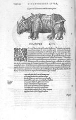 Rhinoceros armé de toutes pieces - Les Oeuvres d'Ambroise Paré,... divisées en vingt huict livres av [...]