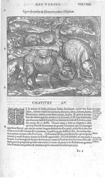 Combat du rhinoceros contre l'elephant - Les Oeuvres d'Ambroise Paré,... divisées en vingt huict liv [...]
