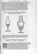 Pieds de grissons - Les Oeuvres d'Ambroise Paré,... divisées en vingt huict livres avec les figures  [...]