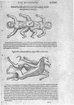 Deux enfans bien monstrueux / Cochon monstrueux - Les Oeuvres d'Ambroise Paré,... divisées en vingt  [...]