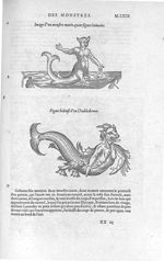 Monstre marin ayant figure humaine / Diable de mer - Les Oeuvres d'Ambroise Paré,... divisées en vin [...]