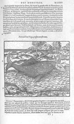 Hoga, poisson monstrueux - Les Oeuvres d'Ambroise Paré,... divisées en vingt huict livres avec les f [...]