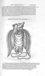 Poisson volant fort monstrueux - Les Oeuvres d'Ambroise Paré,... divisées en vingt huict livres avec [...]