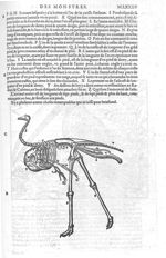 [Squelette d'autruche] - Les Oeuvres d'Ambroise Paré,... divisées en vingt huict livres avec les fig [...]