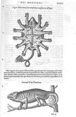 Animal fort monstrueux naissant en Afrique / Chameleon - Les Oeuvres d'Ambroise Paré,... divisées en [...]