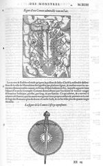 Comete - Les Oeuvres d'Ambroise Paré,... divisées en vingt huict livres avec les figures et portraic [...]