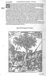 Arbre qui porte le poyure - Les Oeuvres d'Ambroise Paré,... divisées en vingt huict livres avec les  [...]