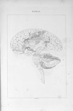 The left hemisphere of the cerebrum and of the cerebellum - A series of engravings intended to illus [...]