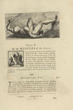 [Myotomia reformata. Lettrine] - Myotomia reformata : or an anatomical treatise on the muscles of th [...]