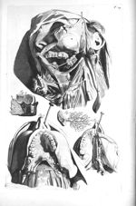 Fig. 1. Muscles of the tongue, Os Hyoides and larynx / Fig. 2. The salival ducts / Fig. 3. The inner [...]