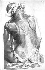 The muscles on the back - The anatomy of human bodies,... containing many new anatomical discoveries [...]