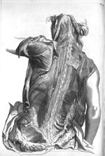 Muscles of the back - The anatomy of human bodies,... containing many new anatomical discoveries and [...]