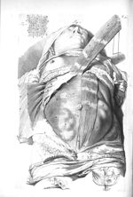 [Abdomen après élévation du Musculus obliquus] - The anatomy of human bodies,... containing many new [...]
