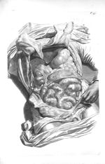 Viscera of the lower belly in situ - The anatomy of human bodies,... containing many new anatomical  [...]