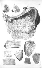 Fig. 1 à 7 et 9 et 10. The membranes, glandules and blood vessels which compose the stomach / Fig. 8 [...]