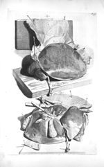 Fig. 1 et 2. The surface of the liver - The anatomy of human bodies,... containing many new anatomic [...]