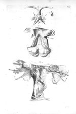 Fig. 1 et 2. The clitoris and parts annexed dissected / Fig. 3. The pudendum and fore-part of the va [...]
