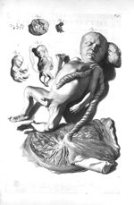Fig. 1 et 2. Divers eggs of a different size / Fig. 3 à 7. Foetus - The anatomy of human bodies,...  [...]