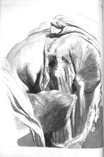 [Muscles du fémur] - The anatomy of human bodies,... containing many new anatomical discoveries and  [...]