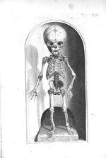 The fore-part of the bones of a foetus of nine months - The anatomy of human bodies,... containing m [...]